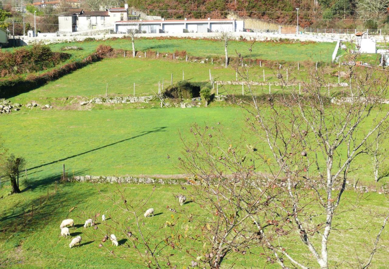 Campo Seco Villa Vieira do Minho Luaran gambar